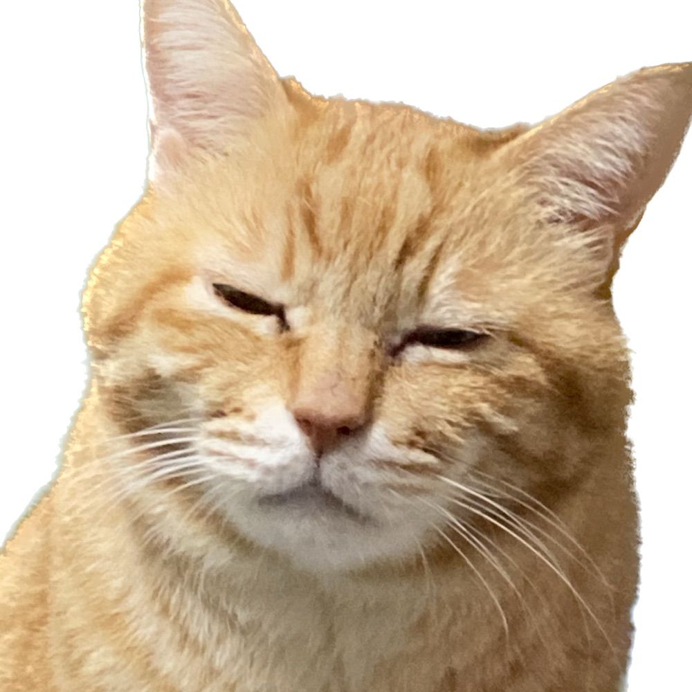 haikaineko