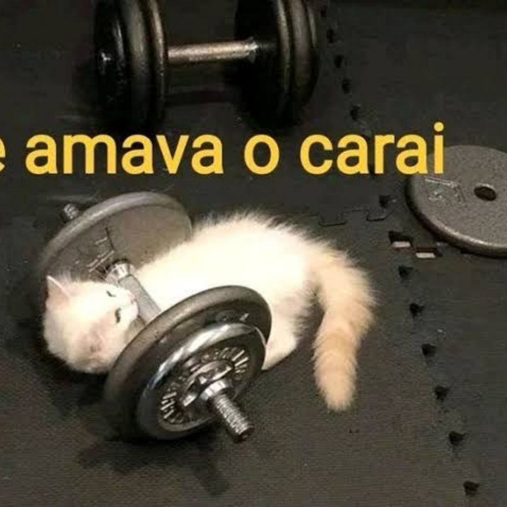 Adam que não foi