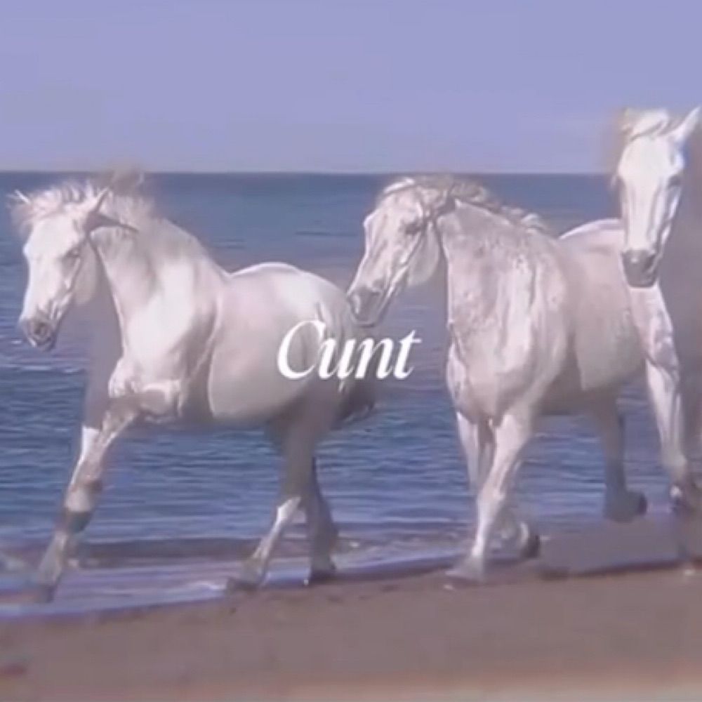 Cunt