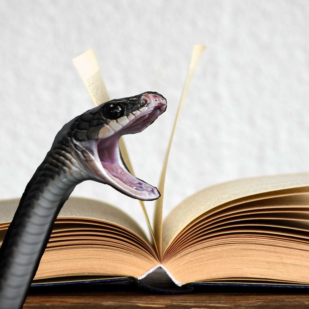 Bibliotaffy