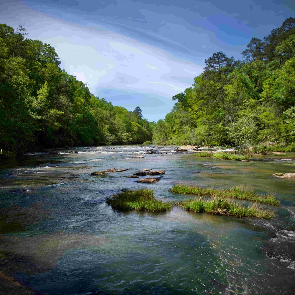 Flint Riverkeeper, Inc. 