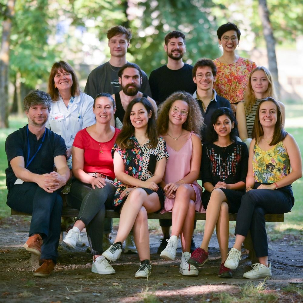 DreamTeam ICM