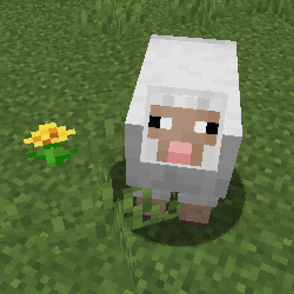 わた🐑ぷ