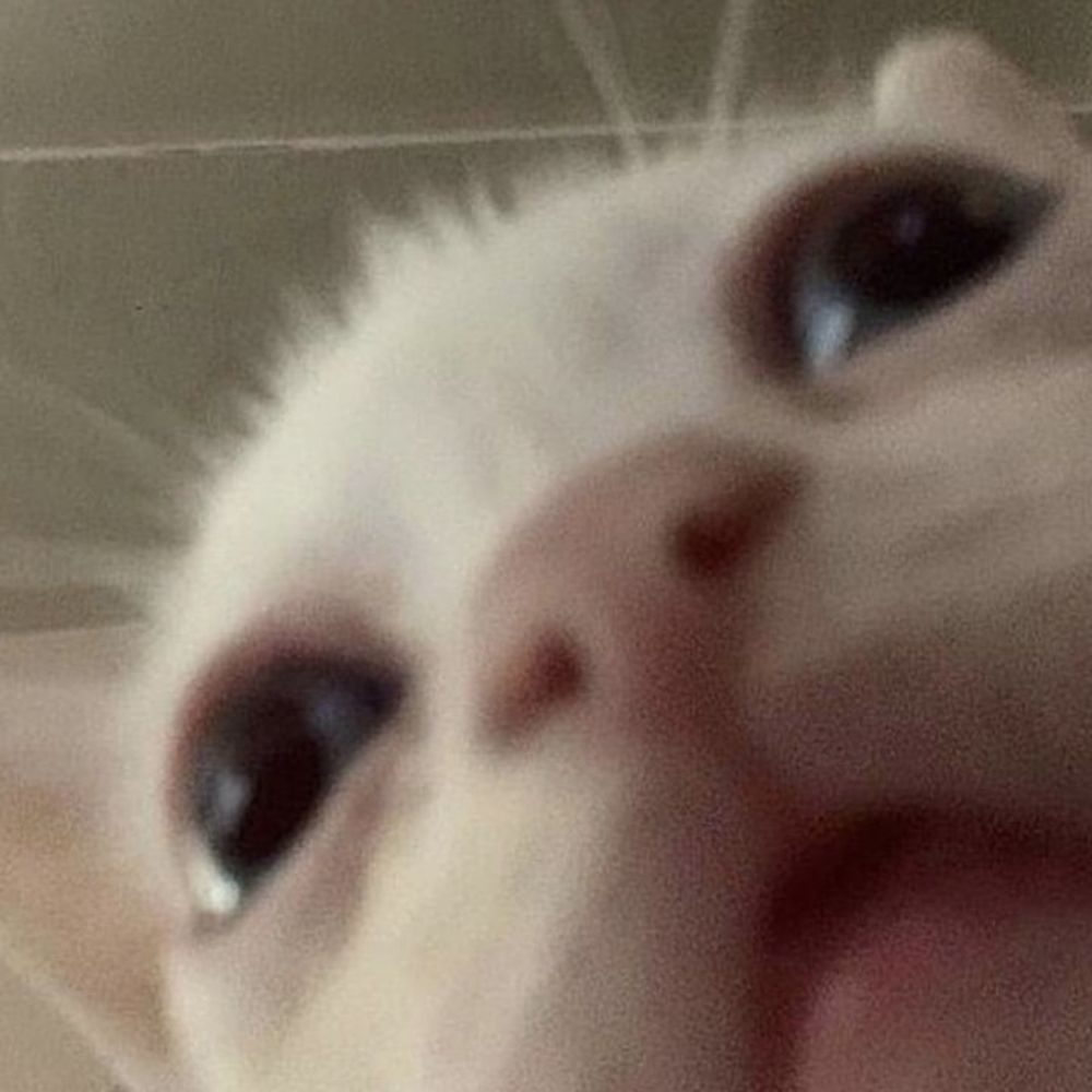 The_maskedbean