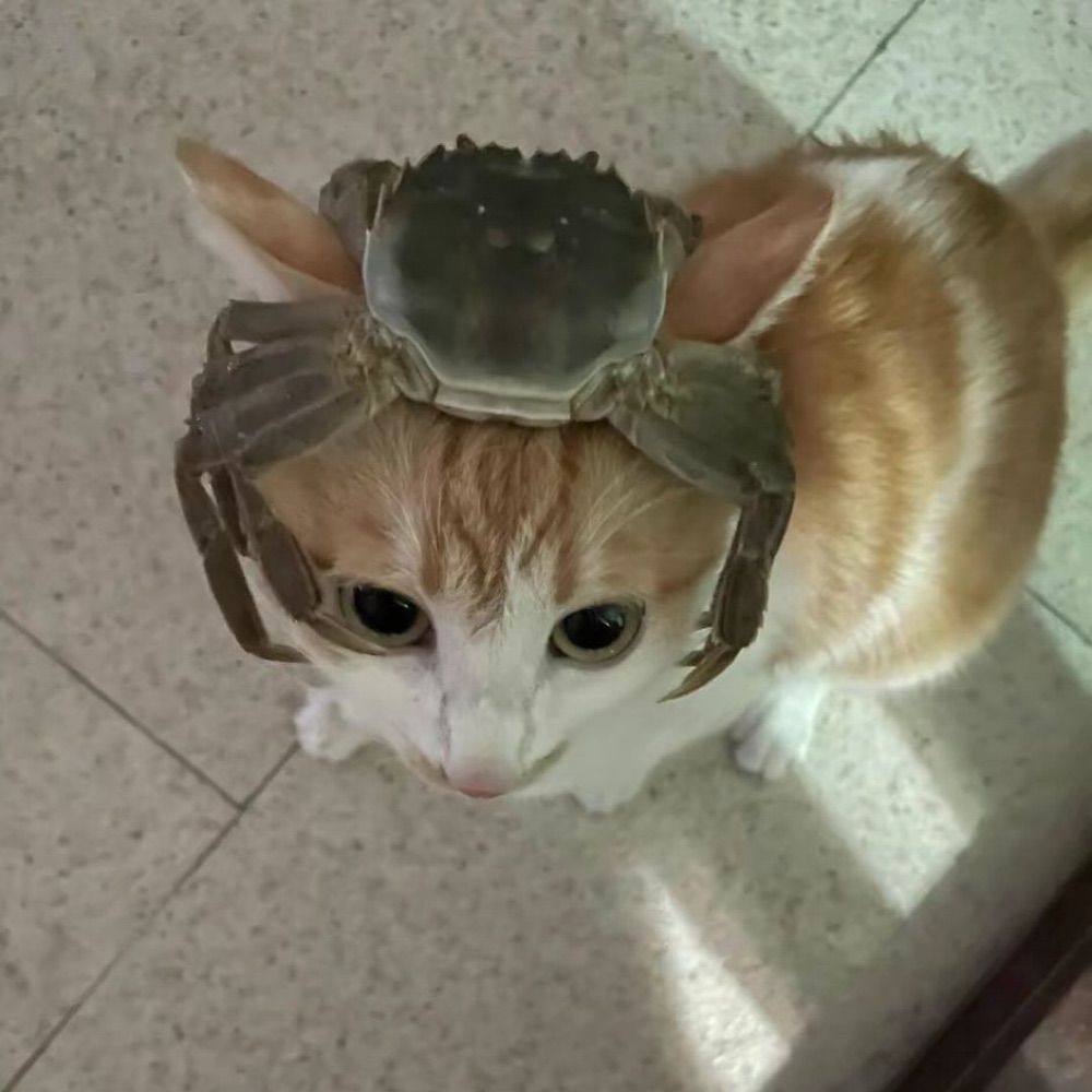 덩건