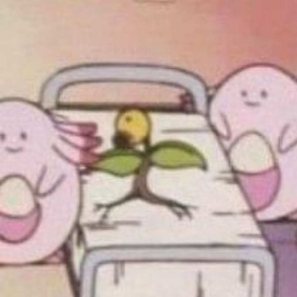 땡벌이