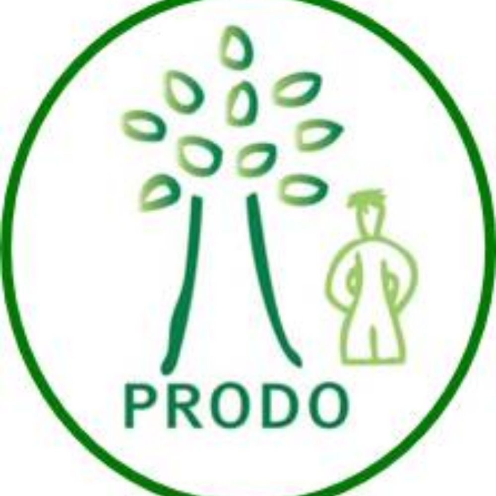 PRODO Research Group