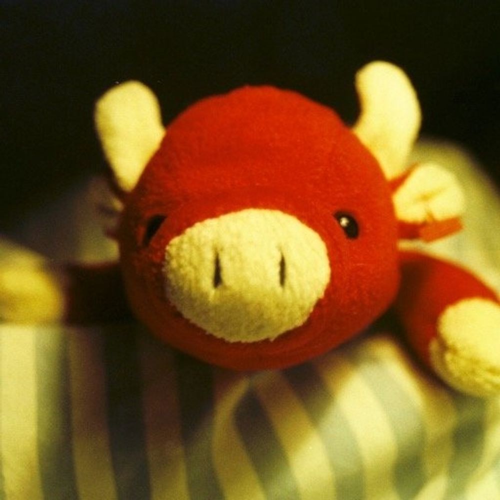 patrick