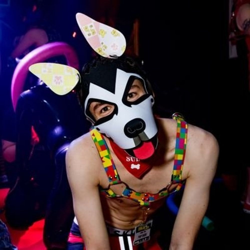 Pup Sudo