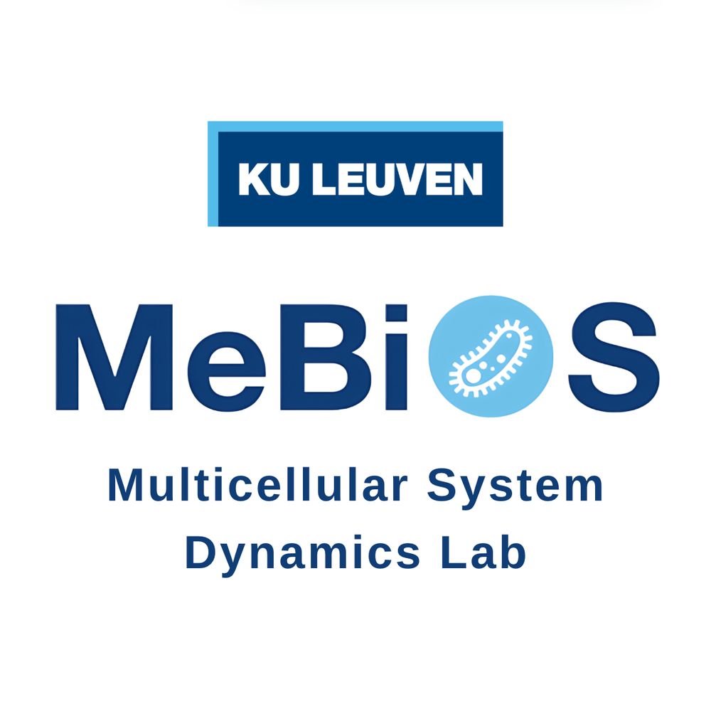 Multicellular System Dynamics Lab