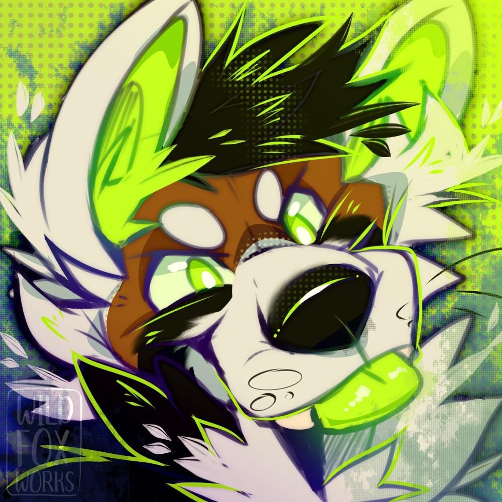 💚 NUKE PANDACORGI 💚