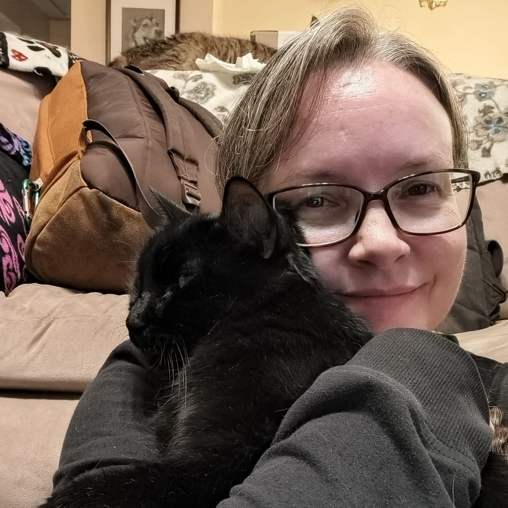 Felinicity