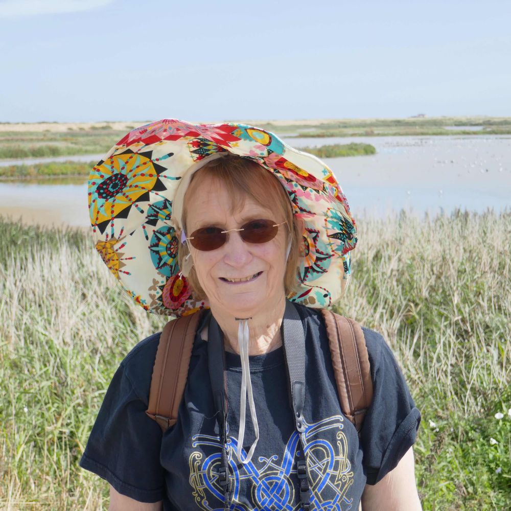 janetcreates.bsky.social profile picture