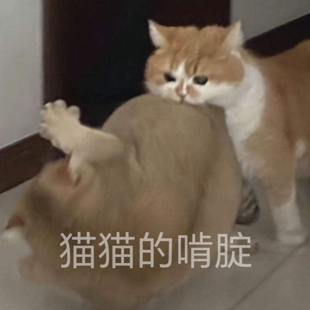 壹穹二皛