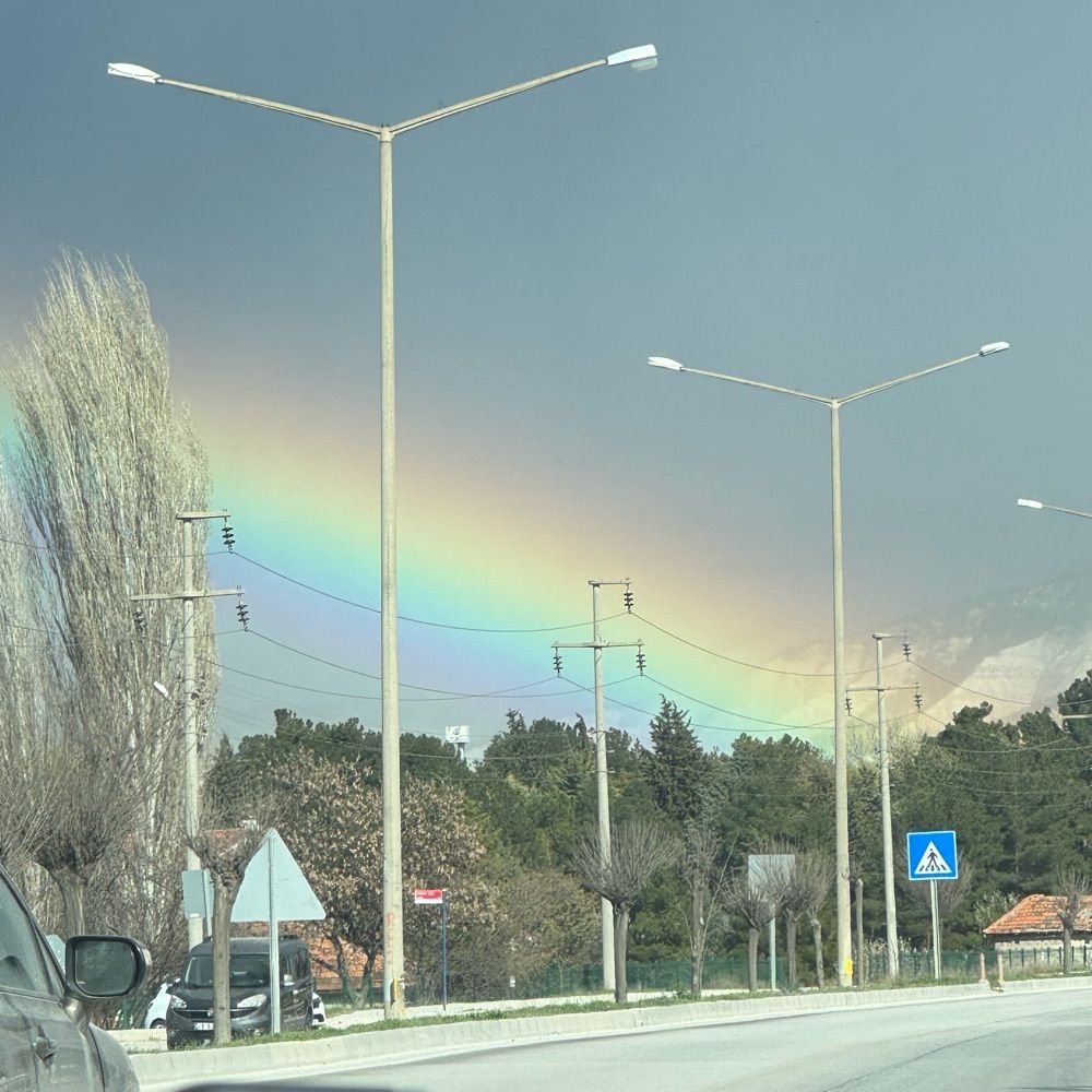 yoldaş