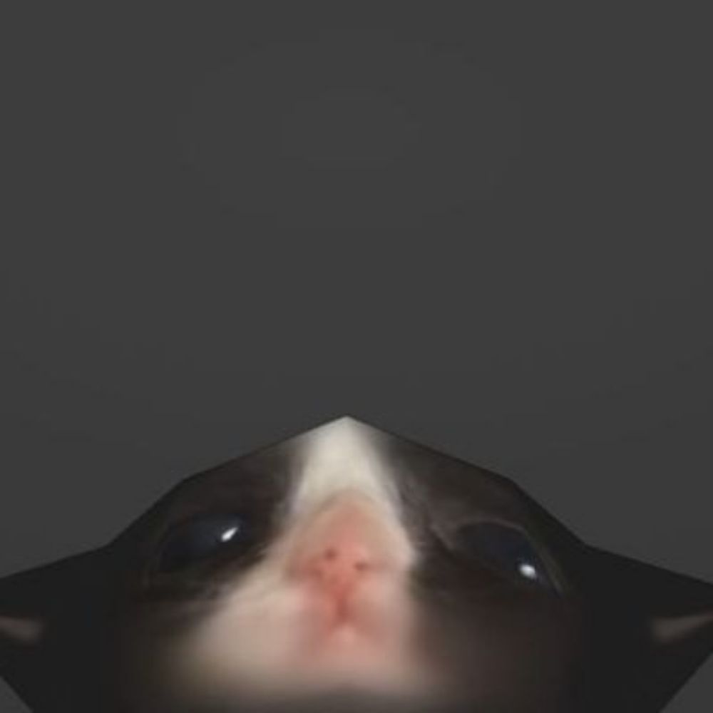 TJ