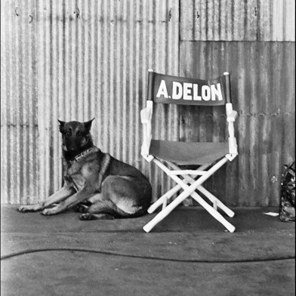 Alain Delon Society