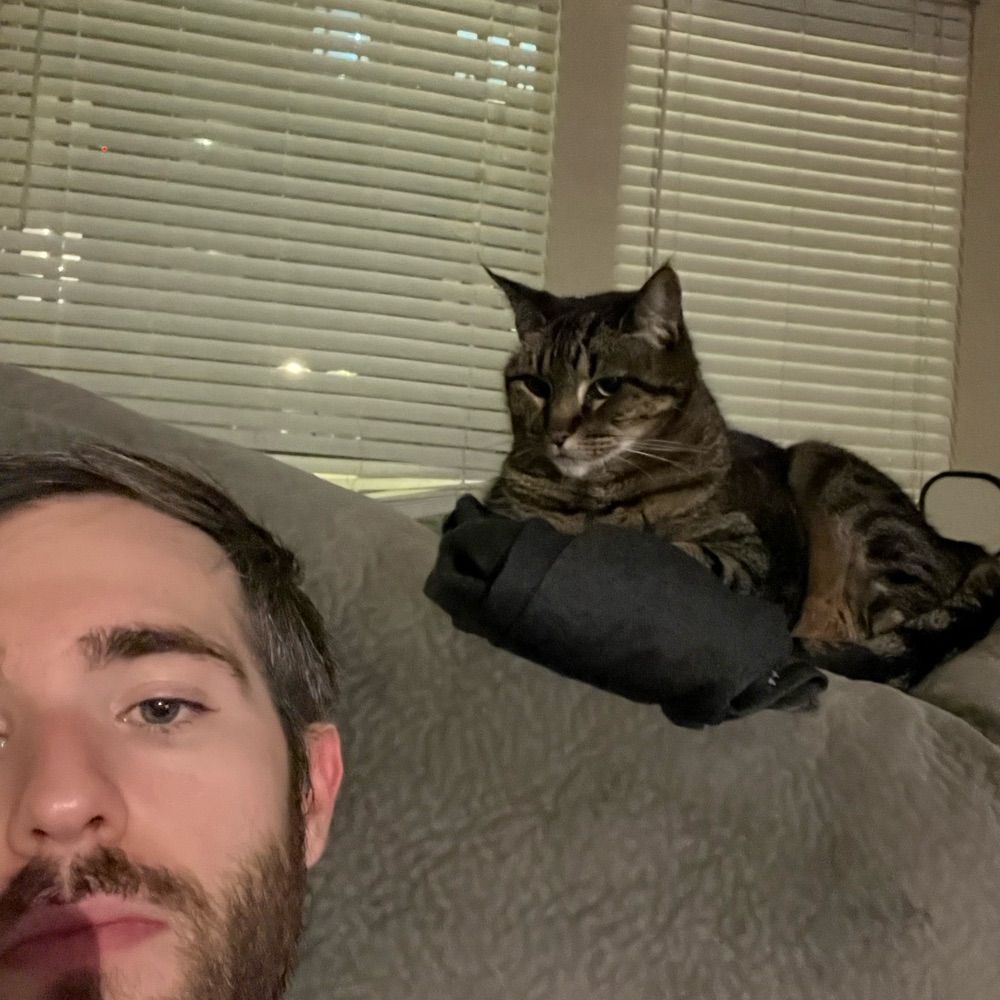 CoolCatZack