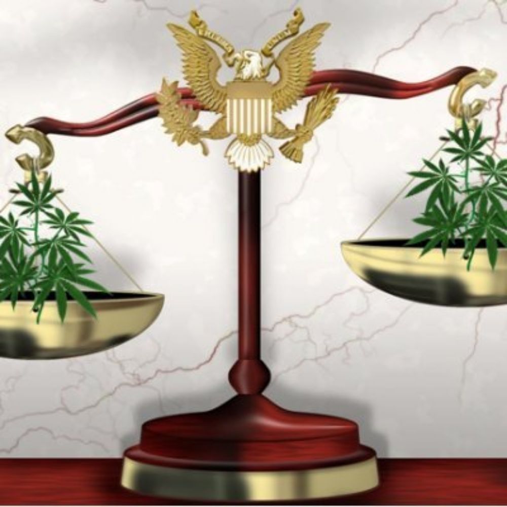 Marijuana Law Class