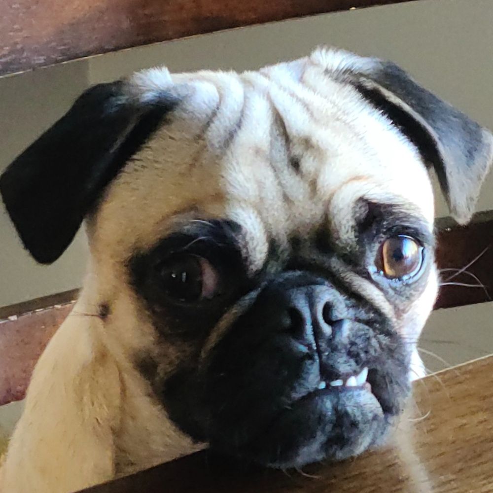 Mr. Pete