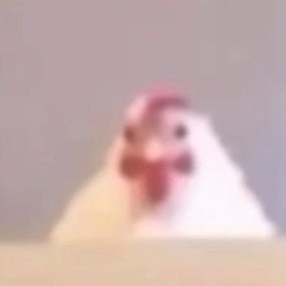 مورغ