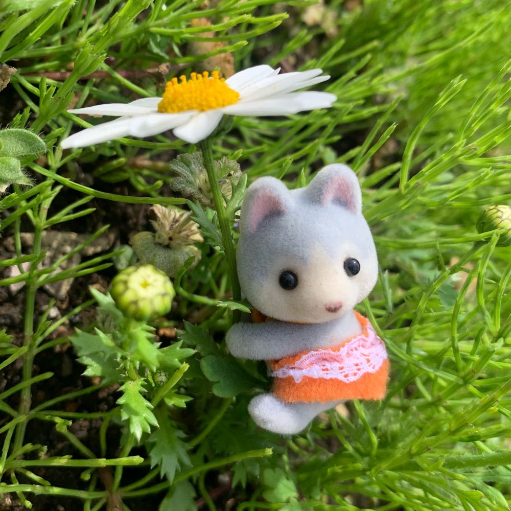 まよ