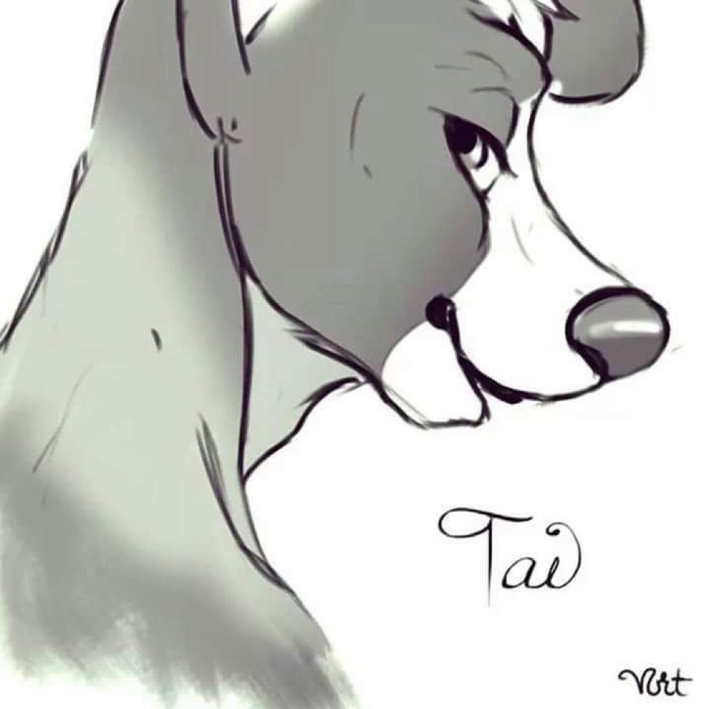 Tai