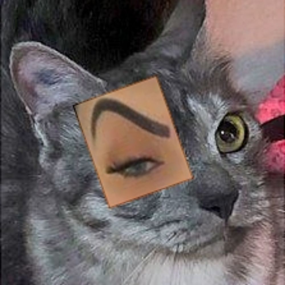 Ray 