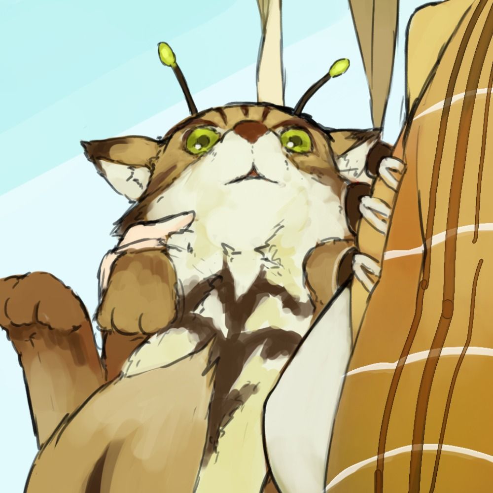 えむけー