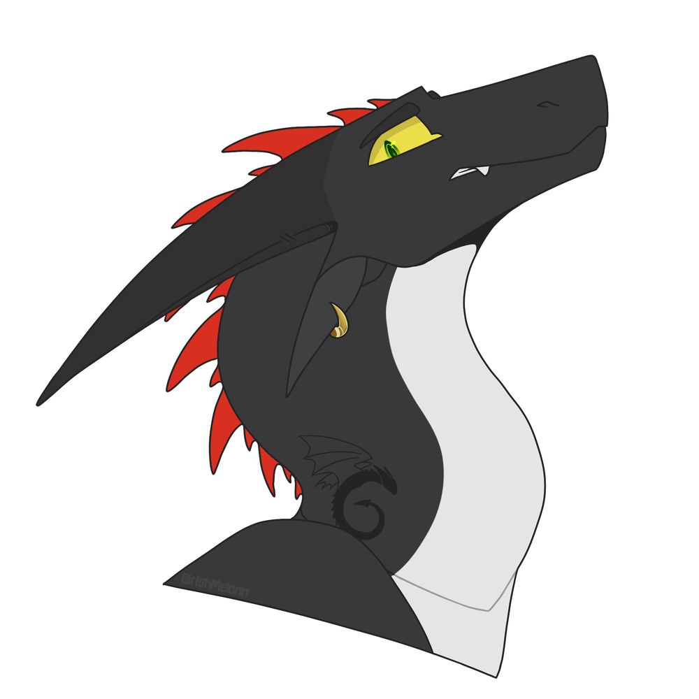 DarkDragonSeeker