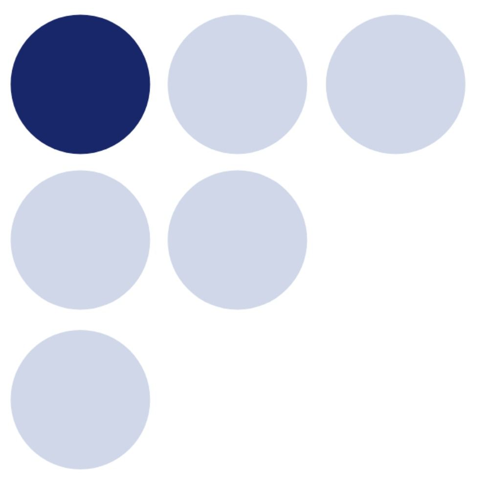 European Centre for Minority Issues
