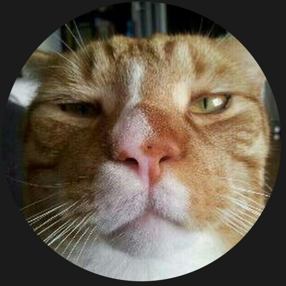 User avatar