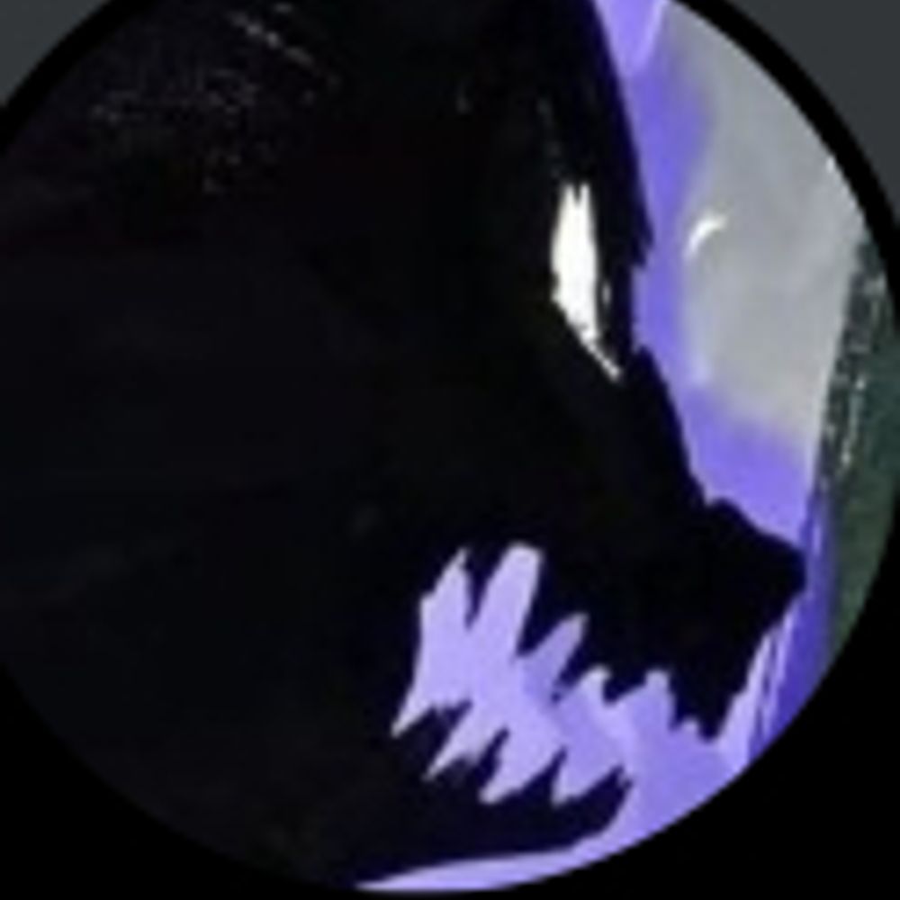 yolokakuza.png