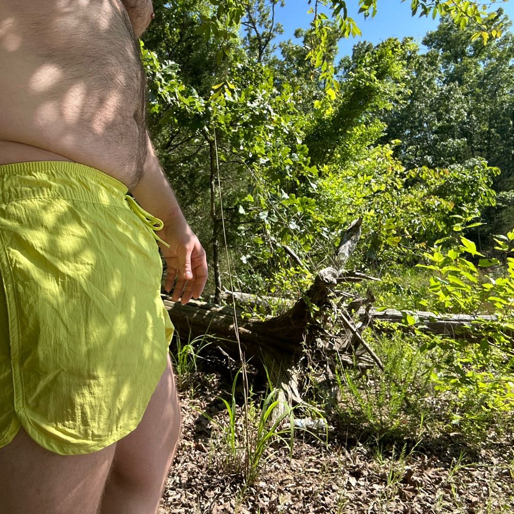 Muscle Bear In Training