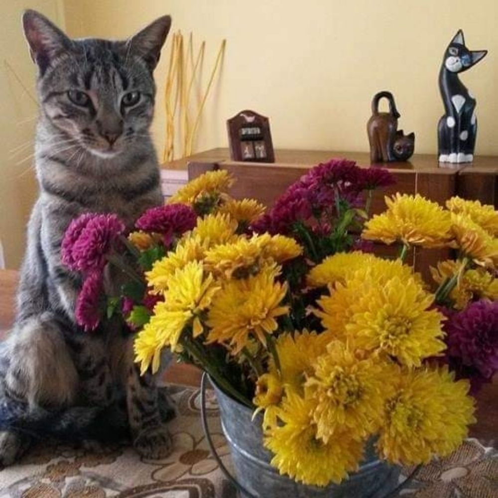 Lilian