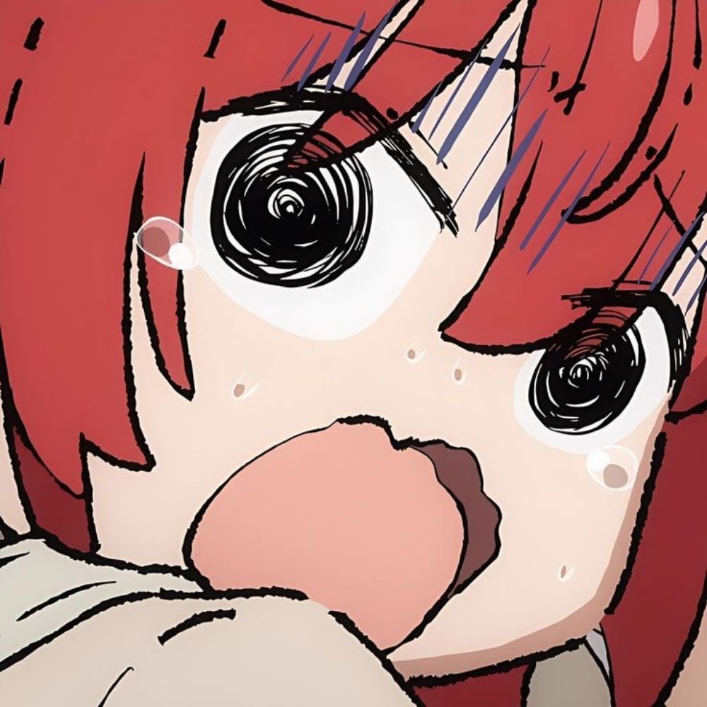 Koctoo 🦧