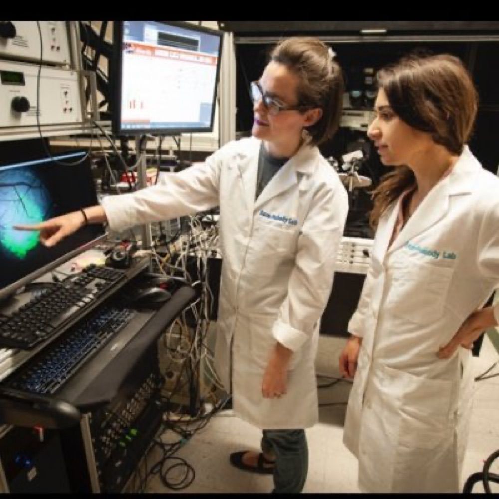 Takesian Lab