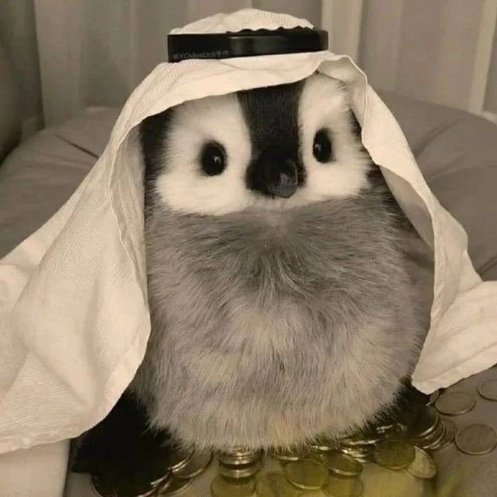 루다