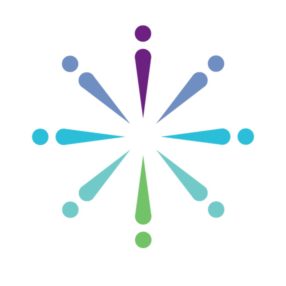 Ottawa Network for Education (ONFE)