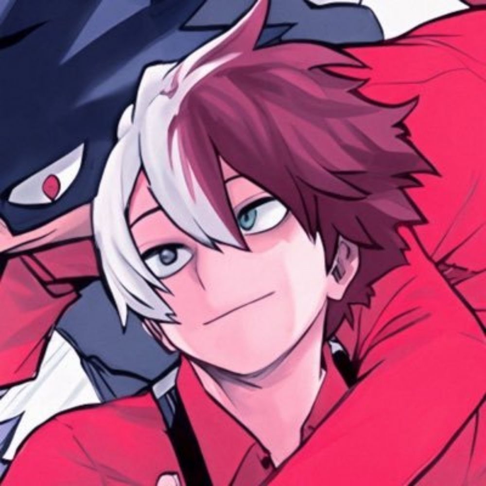 Shouto brainrot