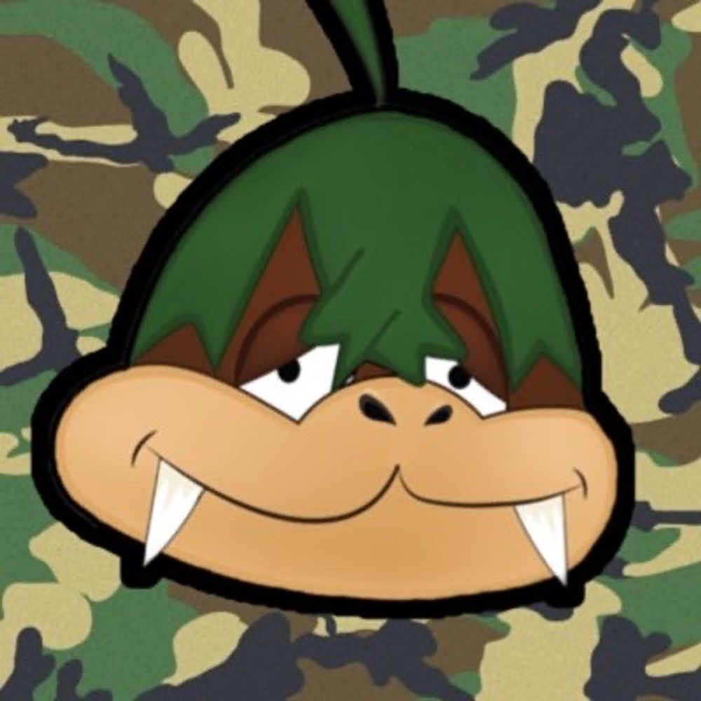 Camo Koopa