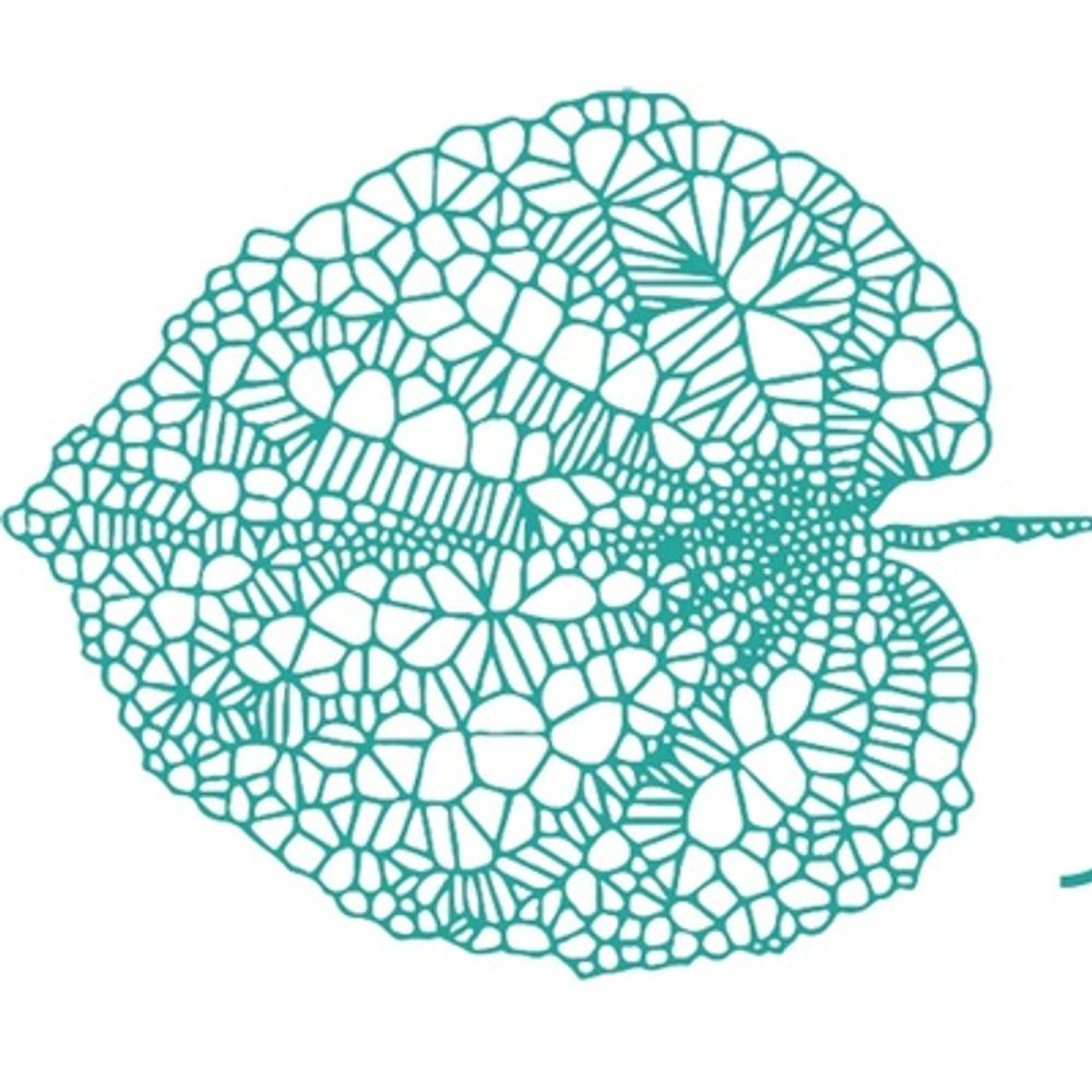 Colectivo FRACTAL