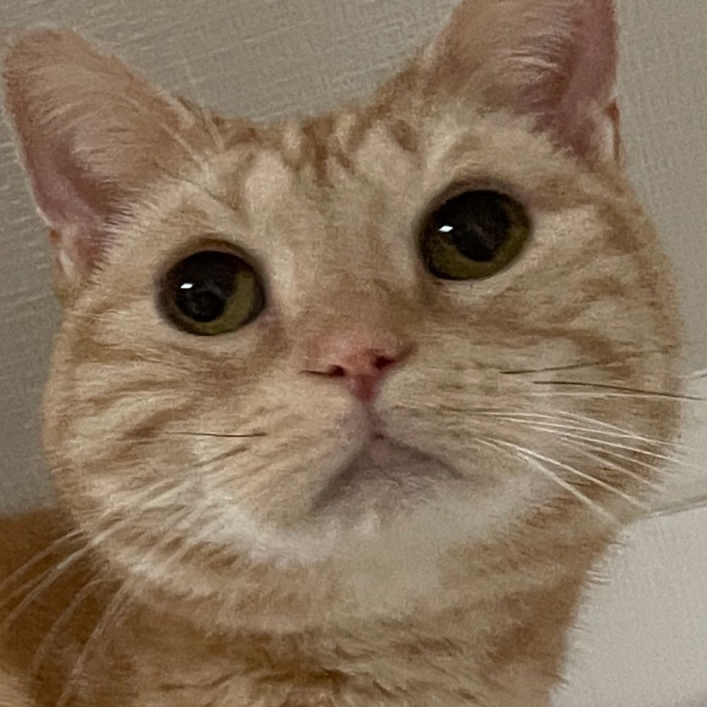 (•J•)