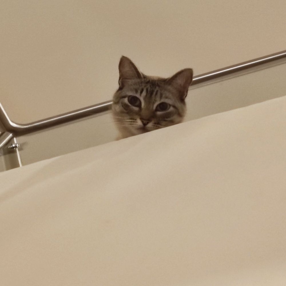 Mel.a.gata
