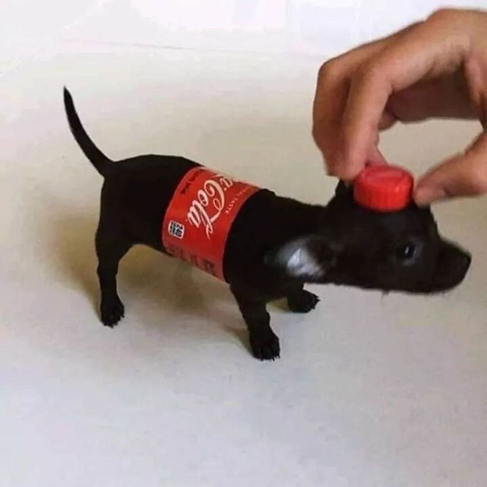 amo uma coquinha gelada quando faz tshhh quando abre a garrafa