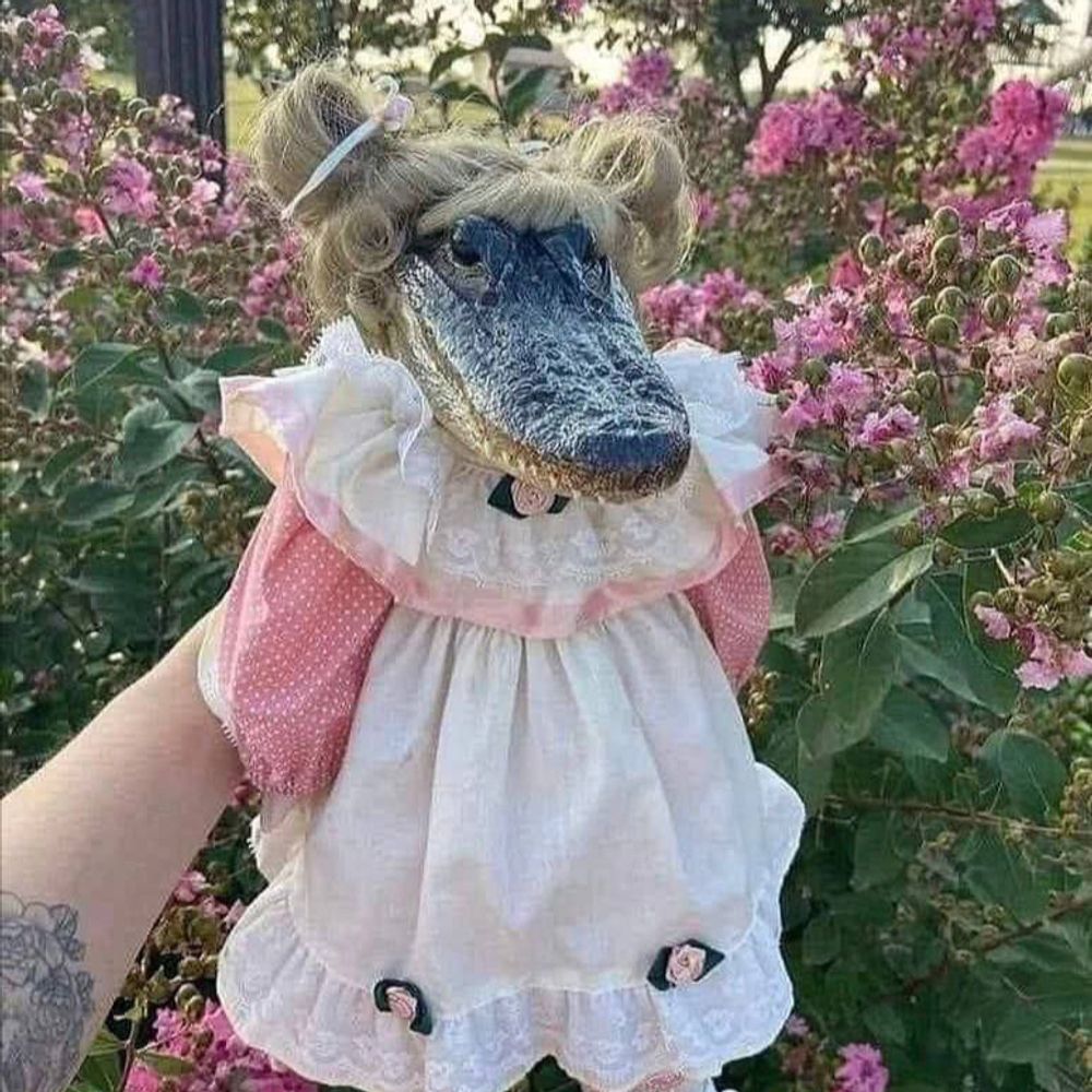 Lady Sloth
