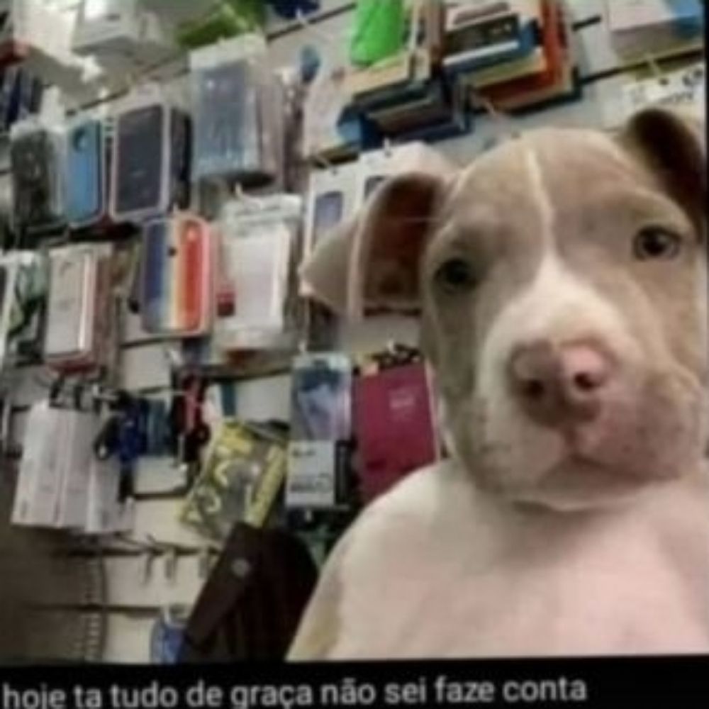 ianvictor.__