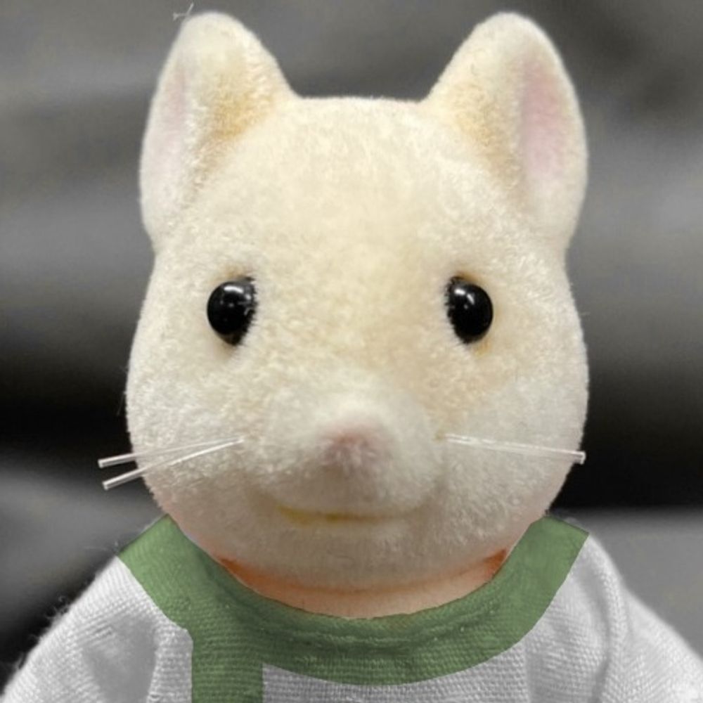 본디밝음