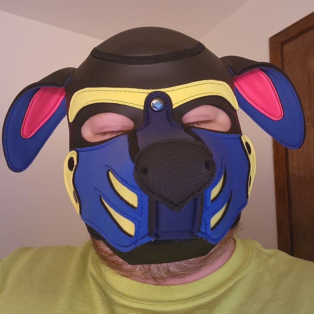 Pup Sentinel