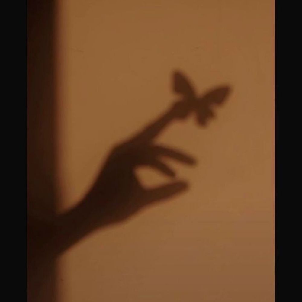 kiki 🦋